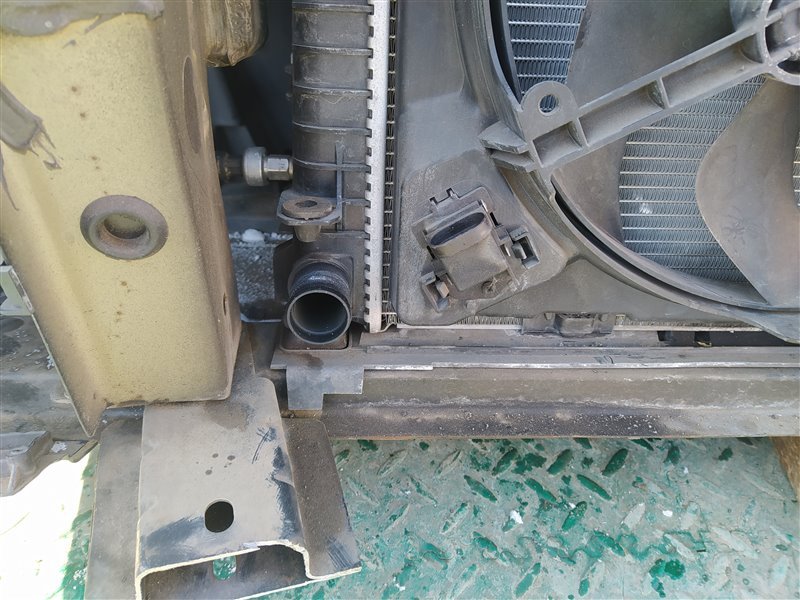 Nose cut CLIO BR K4M801 Nose cut CLIO BR K4M801