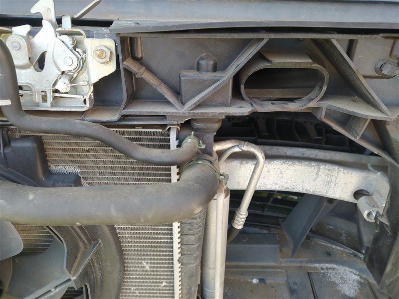Nose cut CLIO BR K4M801 Nose cut CLIO BR K4M801
