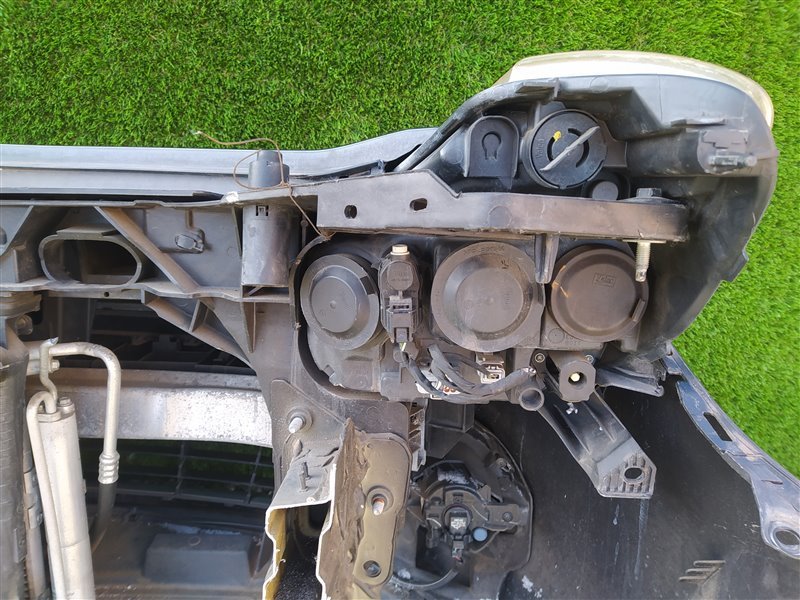 Nose cut CLIO BR K4M801 Nose cut CLIO BR K4M801