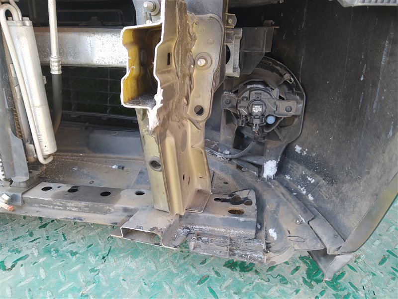 Nose cut CLIO BR K4M801 Nose cut CLIO BR K4M801
