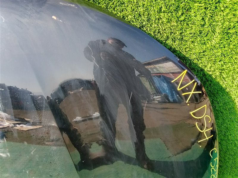 Капот DS4 NX