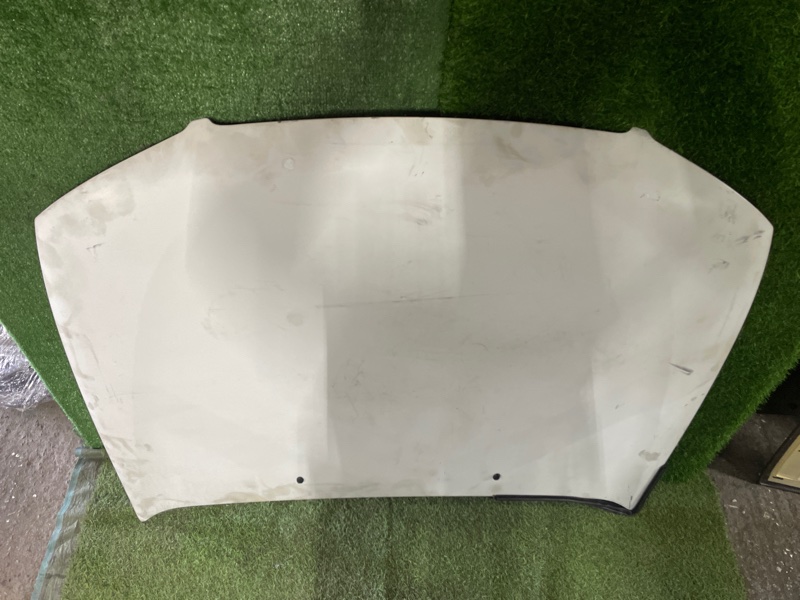 Капот BLUEBIRD SYLPHY TG10