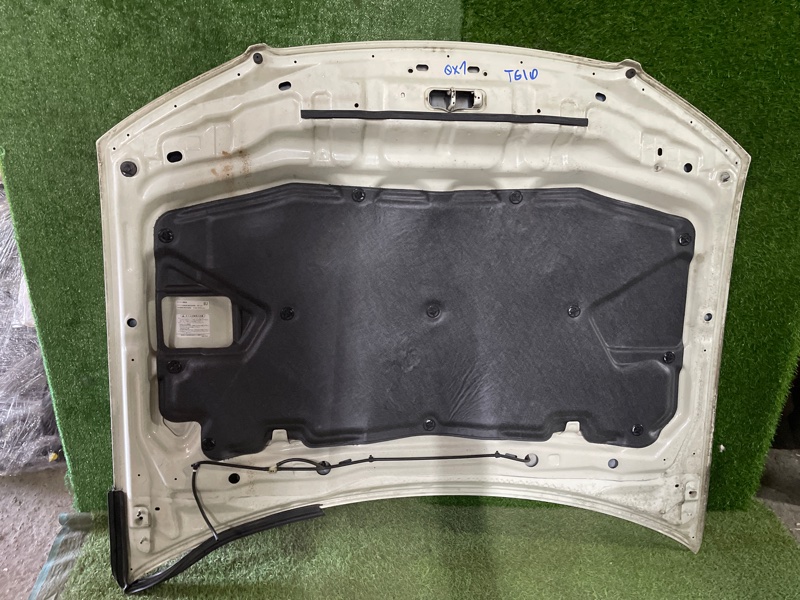 Капот BLUEBIRD SYLPHY TG10