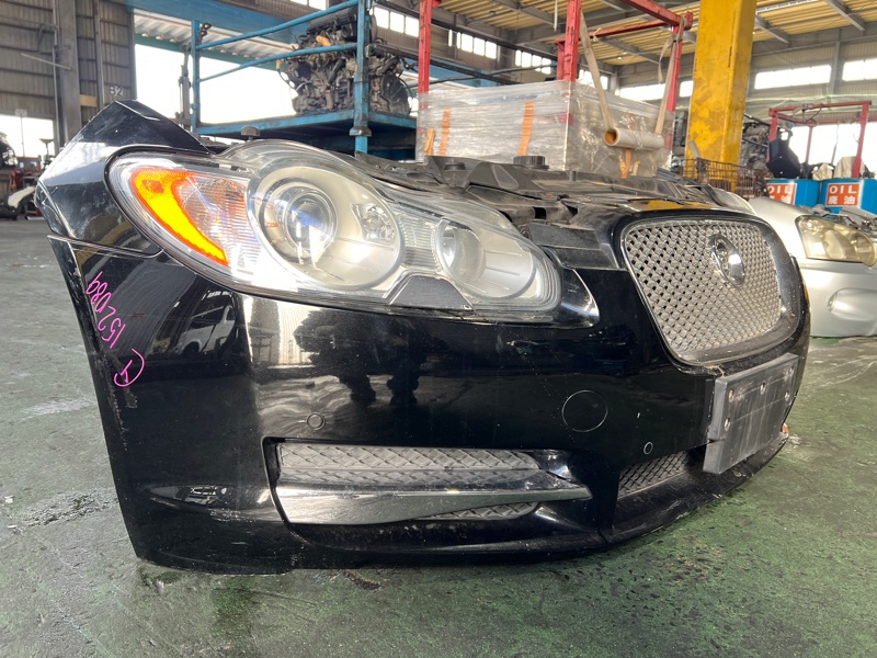 Nose cut JAGUAR XF Nose cut JAGUAR XF