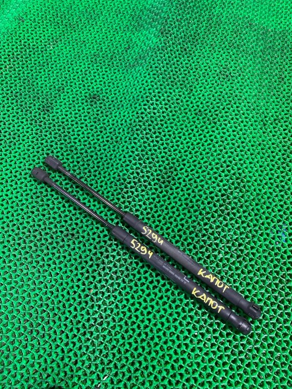 Амортизатор капота NISSAN SAFARI 2004 WFGY61 TB48DE контрактная