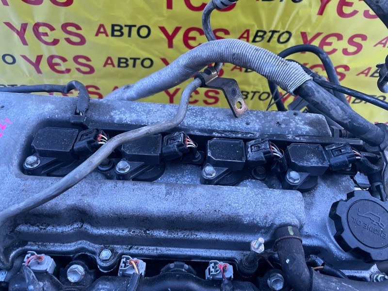 Запчасть катушка зажигания Toyota Vista Ardeo ZZV50 1ZZ-FE 9091902239 контрактная Катушка зажигания Toyota Vista Ardeo ZZV50 1ZZ-FE 9091902239 контрактная