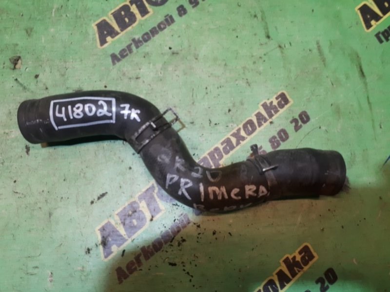 Патрубок ниссан примера р11. Nissan p12 qr20 верхний патрубок. Nissan p12 патрубок радиатора верхний полиуретановый. Верхний патрубок радиатора Nissan primera p11 sr20de. Патрубок интеркулера верхний Ниссан Навара.