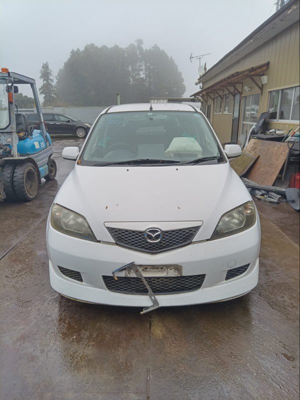Двигатель Mazda Demio DY3W ZJ 2003