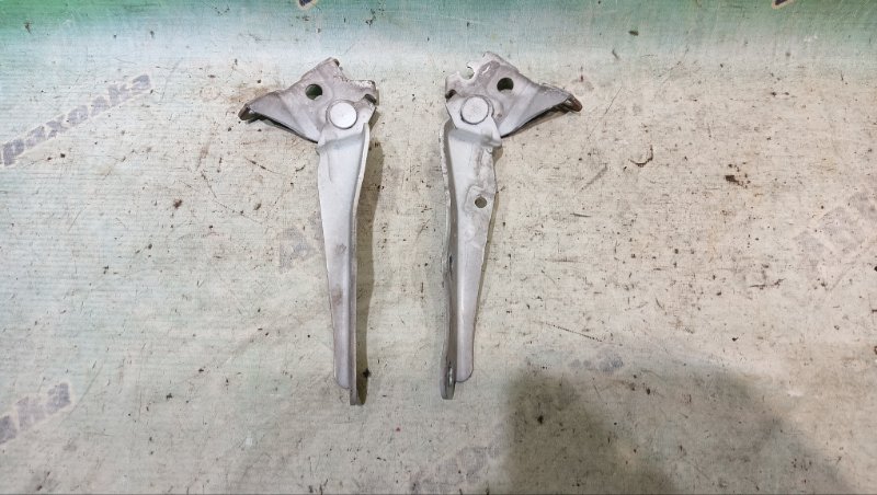 Петля капота TOYOTA VISTA ARDEO SV50 3S-FSE 2000 (б/у) Петля капота TOYOTA VISTA ARDEO SV50 3S-FSE 2000 (б/у)