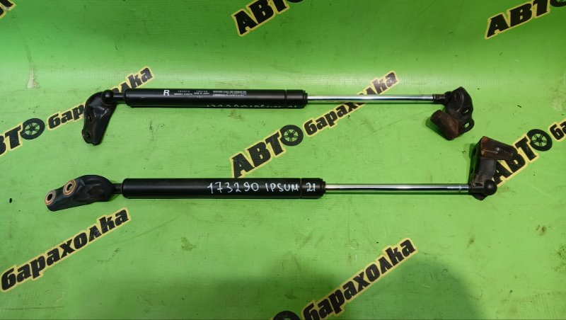 Амортизатор задней двери TOYOTA IPSUM ACM21W 2AZ-FE 2008 (б/у)