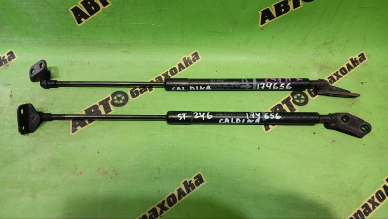 Амортизатор задней двери TOYOTA CALDINA ST246W 3S-GTE 2004 (б/у)