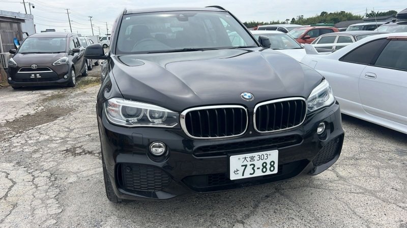 Накладка двери задняя левая X5 2016 F15 N57D30A Накладка двери задняя левая X5 2016 F15 N57D30A