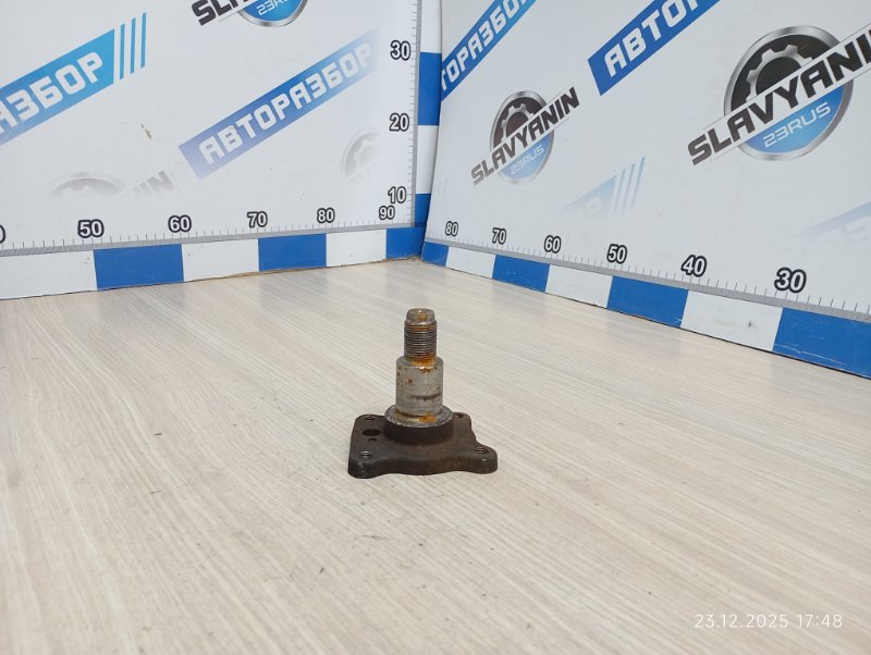 Ступица задняя Mazda Demio 2003 DY3W ZJ-VE Б/У