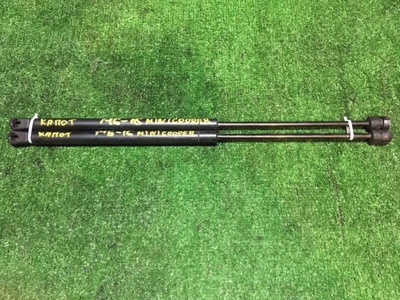 Амортизатор капота Mini Coupe R50 W10B16A