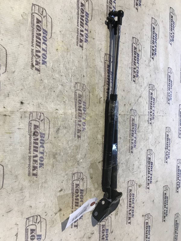 Амортизатор багажника Suzuki Swift 2005 ZD11S M13A