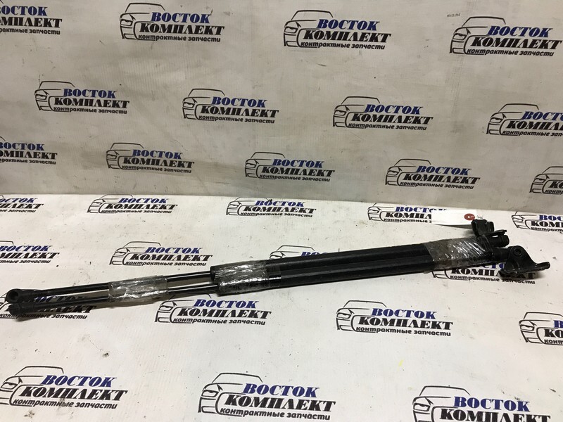 Амортизатор багажника Toyota Ractis 2008 NCP100 1NZ-FE