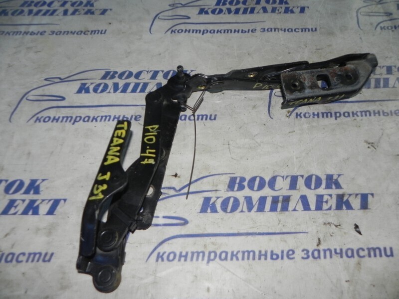 Петля капота Nissan Teana J31 QR25DE