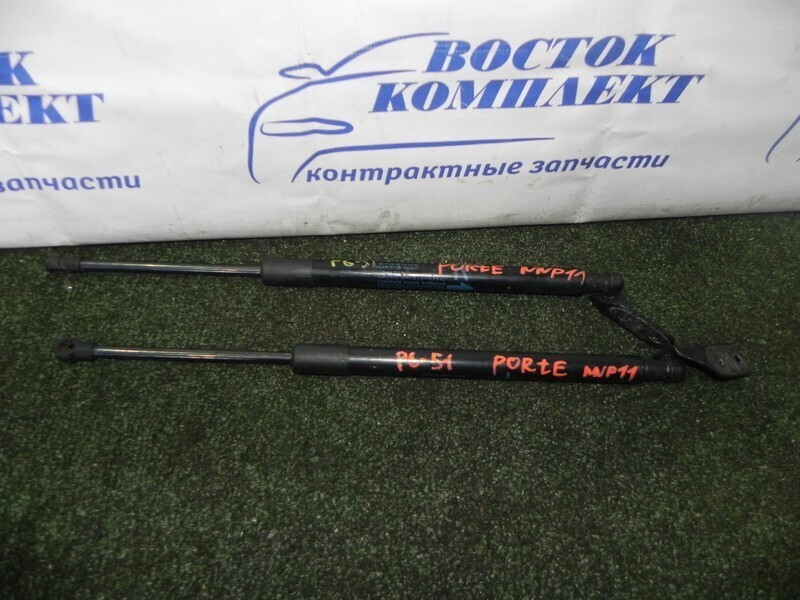 Амортизатор багажника Toyota Porte NNP11 1NZ-FE