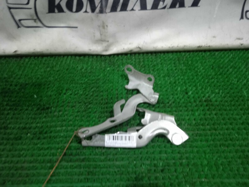 Петля капота Toyota Raum EXZ10 5E-FE