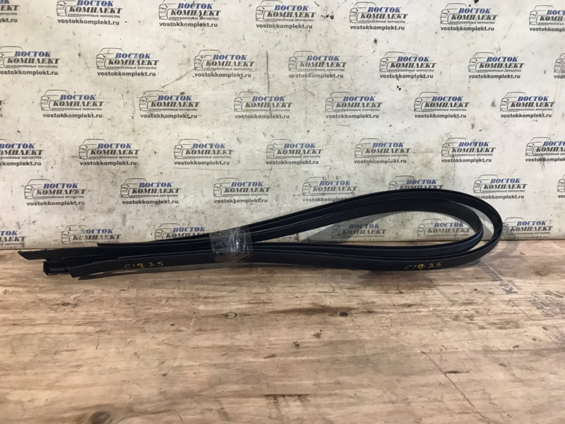 Молдинг крыши Nissan Wingroad 2005 JY12 MR18DE прав