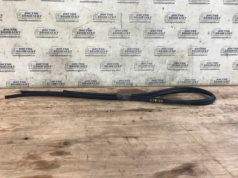 Молдинг крыши Toyota Porte 2008 NNP15 1NZ-FE лев