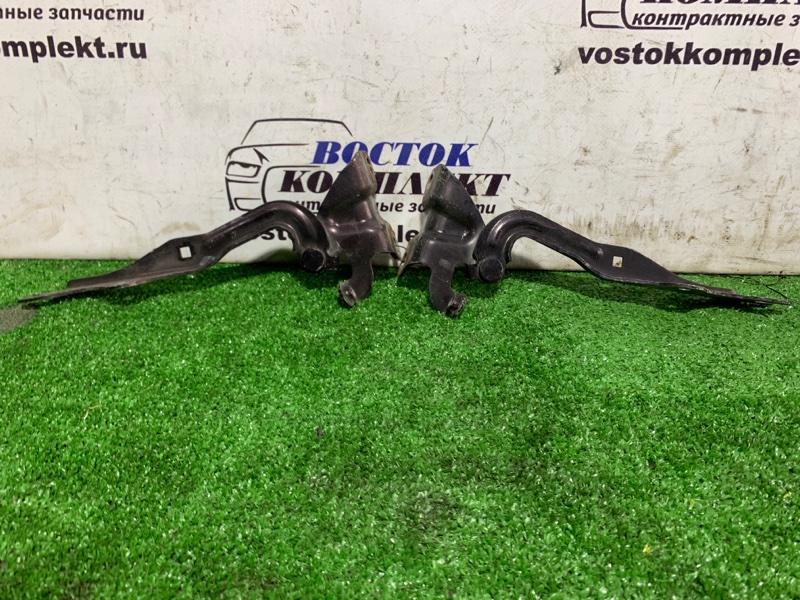 Петля капота Mazda Verisa 2004 DC5W ZY-VE