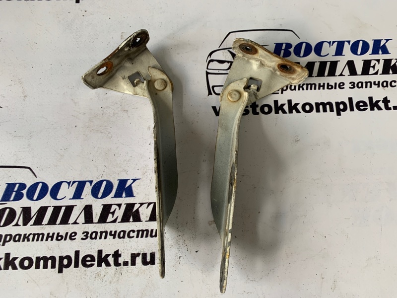 Петля капота Honda Stepwgn RF1 B20B