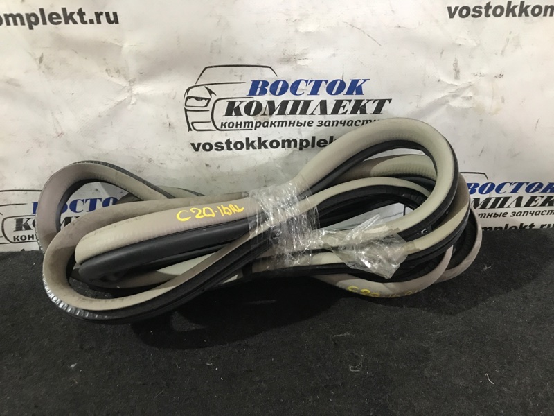 Уплотнительная резинка боковой двери Nissan Liberty 2003 RM12 QR20DE зад лев