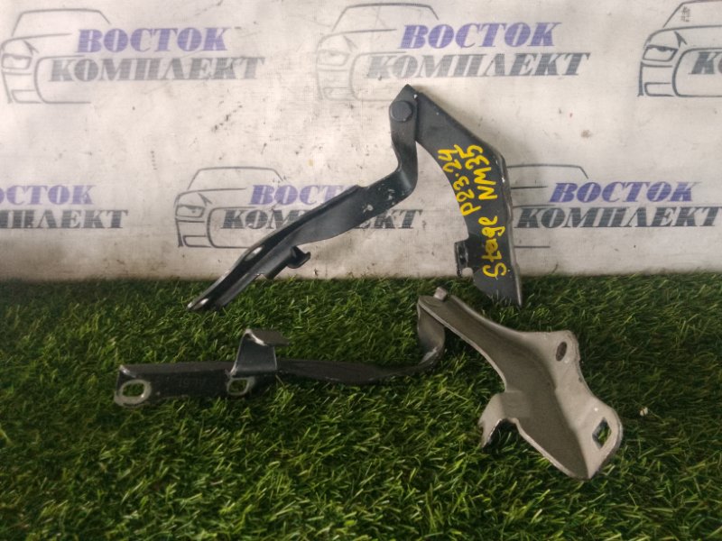 Петля капота Nissan Stagea 2005 NM35 VQ25DD