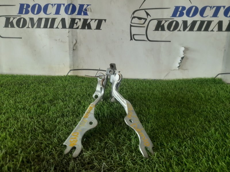 Петля капота Mazda Demio 2005 DY3W ZJ-VE