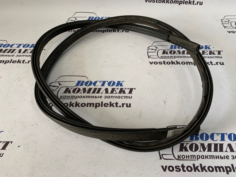 Молдинг крыши Toyota Ipsum ACM21W 2AZ-FE лев