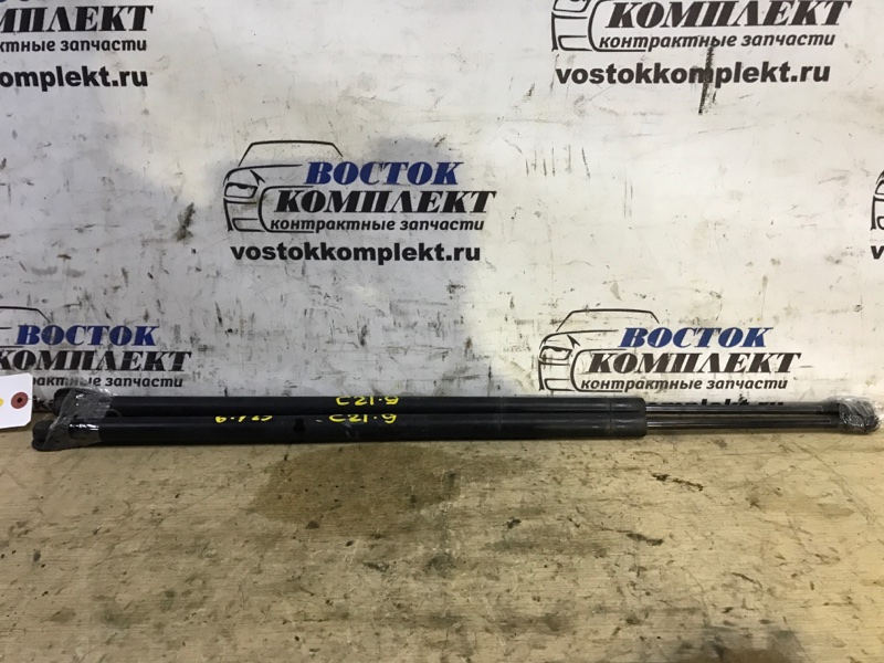 Амортизатор багажника Toyota Sienta 2004 NCP81G 1NZ-FE