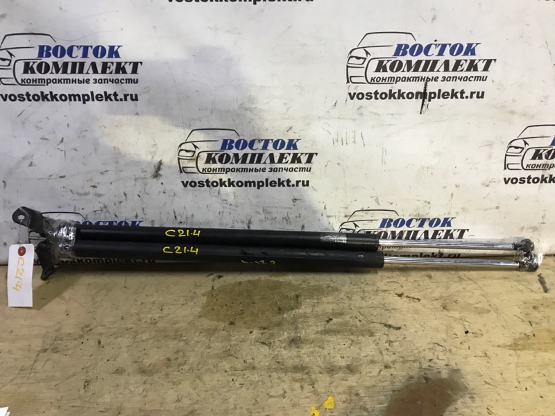 Амортизатор багажника Honda Stepwgn 2006 RG1 K20A