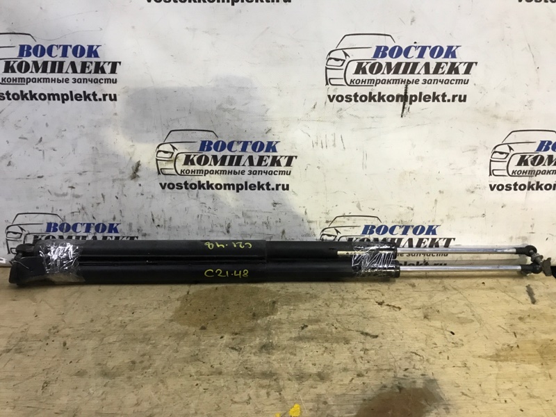 Амортизатор багажника Nissan Serena 2006 C25 MR20DE