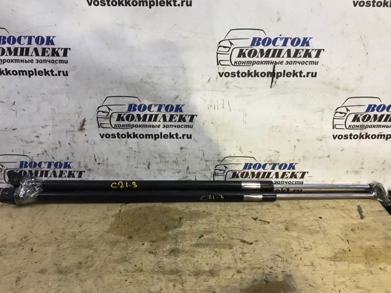 Амортизатор багажника Honda Mobilio Spike 2006 GK1 L15A