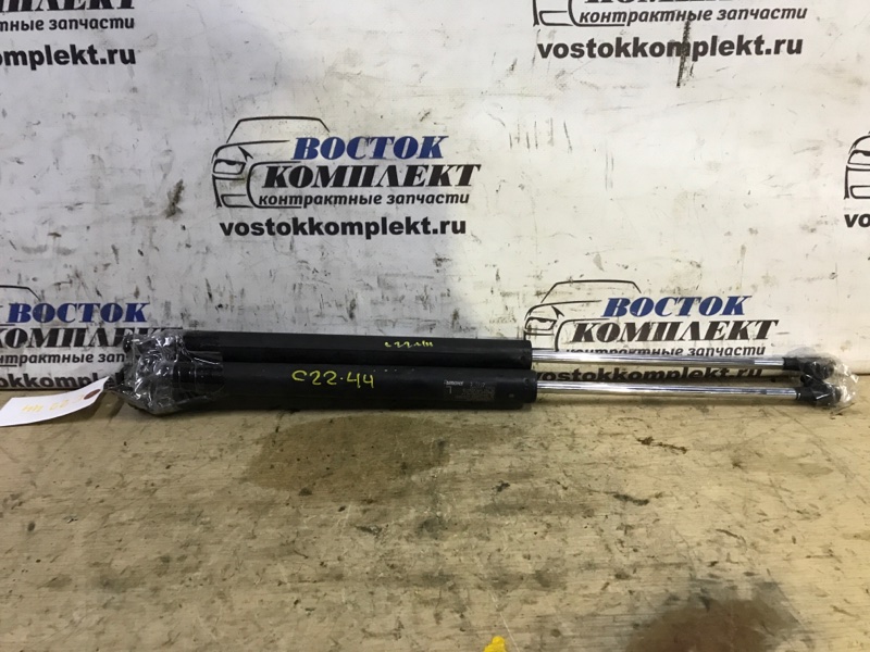 Амортизатор капота Honda Odyssey 2004 RB1 K24A