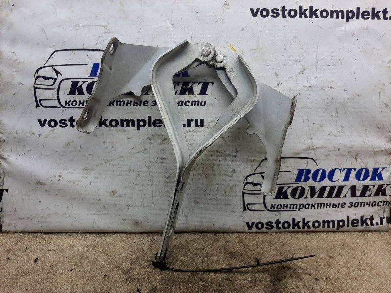 Петля капота Honda Elysion RR1 K24A