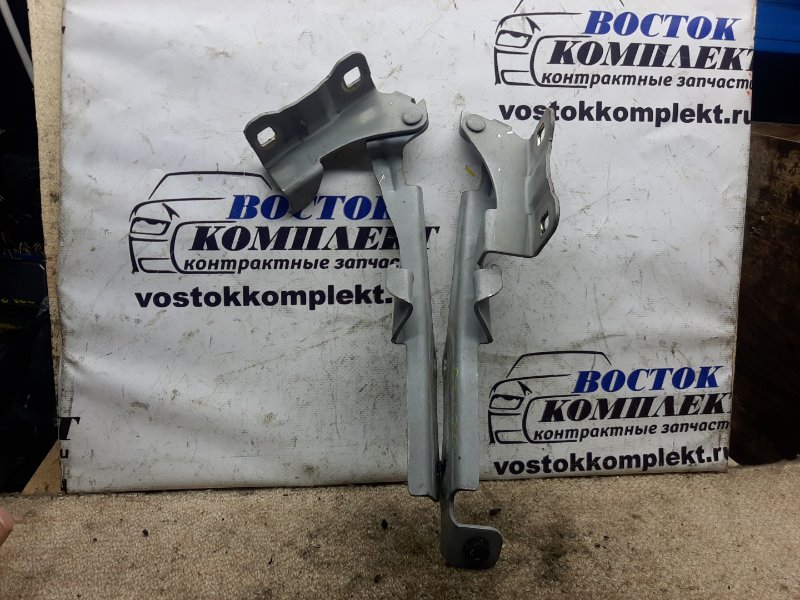 Петля капота Nissan Cube 2004 BZ11 CR14DE