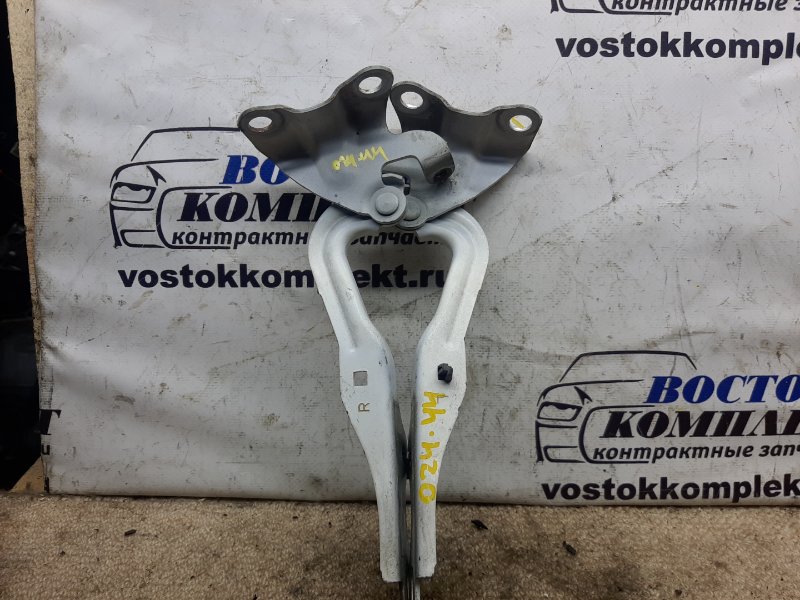 Петля капота Mazda Demio 2006 DY5W ZY-VE