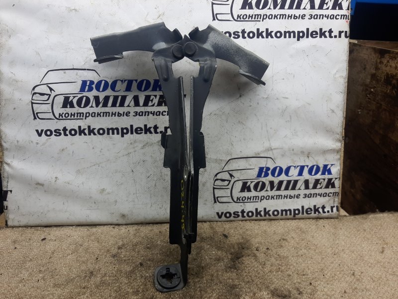 Петля капота Nissan Cube BZ11 CR14DE