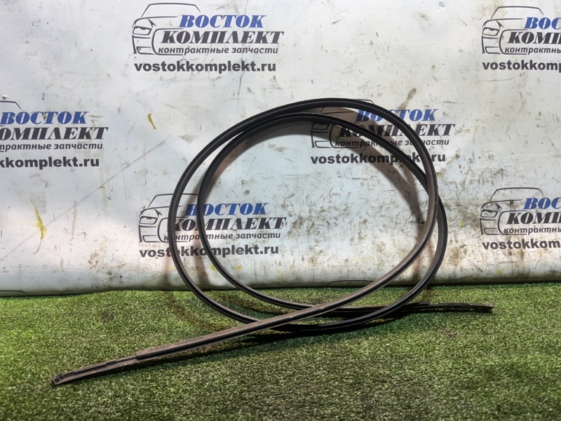 Молдинг крыши Nissan Serena 2012 HFC26 MR20DD лев