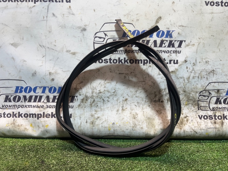 Молдинг крыши Daihatsu Boon M301S K3-VE лев