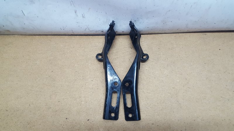 Петля капота Honda Stepwgn 2010 RK1 R20A