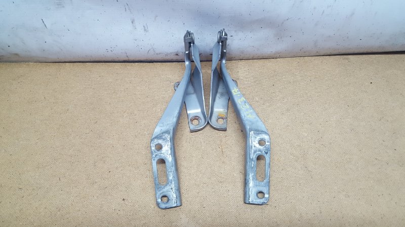 Петля капота Honda Odyssey 2007 RB1 K24A