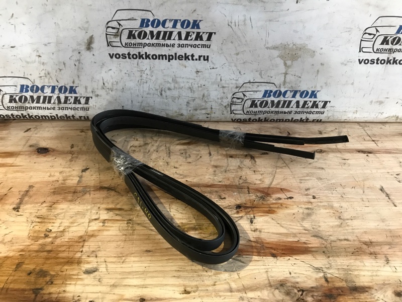 Молдинг крыши Nissan Tiida Latio 2009 SC11 HR15DE