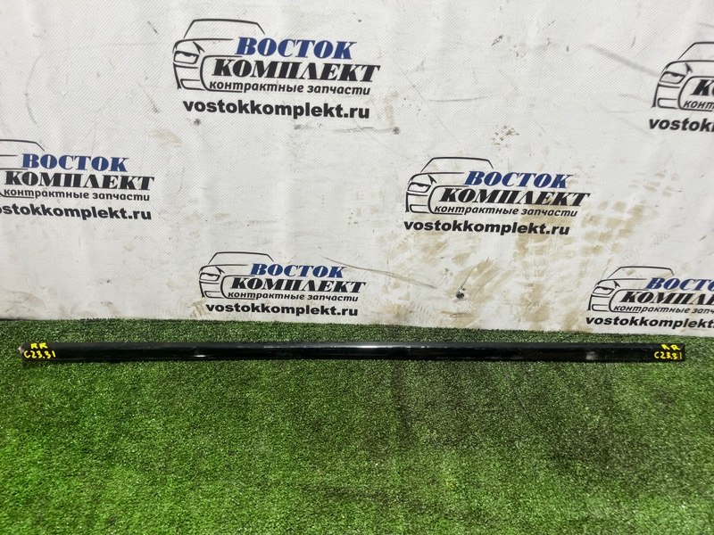 Молдинг на дверь Honda Odyssey 2007 RB1 K24A зад прав