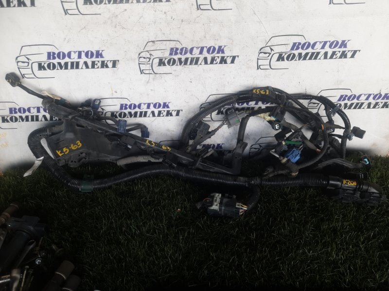 Проводка двигателя Honda Stepwgn 2008 RG1 K20A