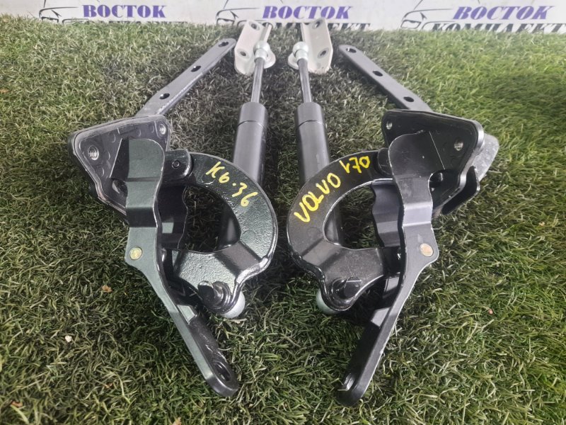 Петля крышки багажника Volvo V70 2001 SW65 B5244S2