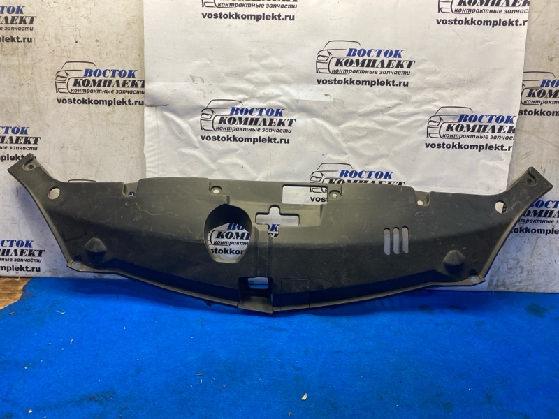 Накладка рамки радиатора Honda Elysion RR2 K24A