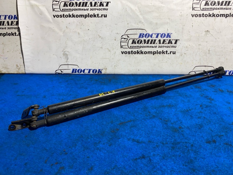 Амортизатор багажника Nissan Lafesta B30 MR20DE